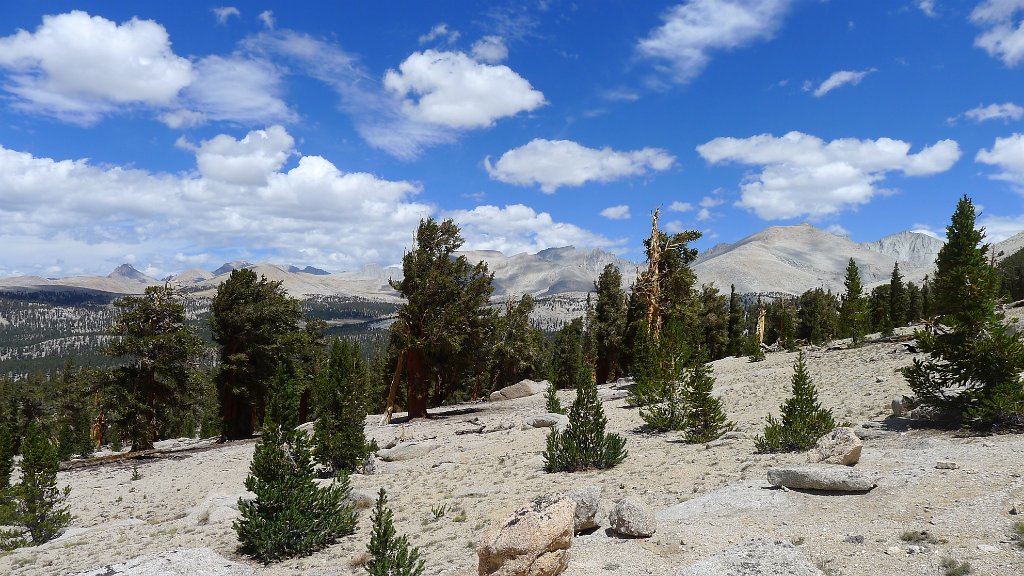 SouthernSierra 729